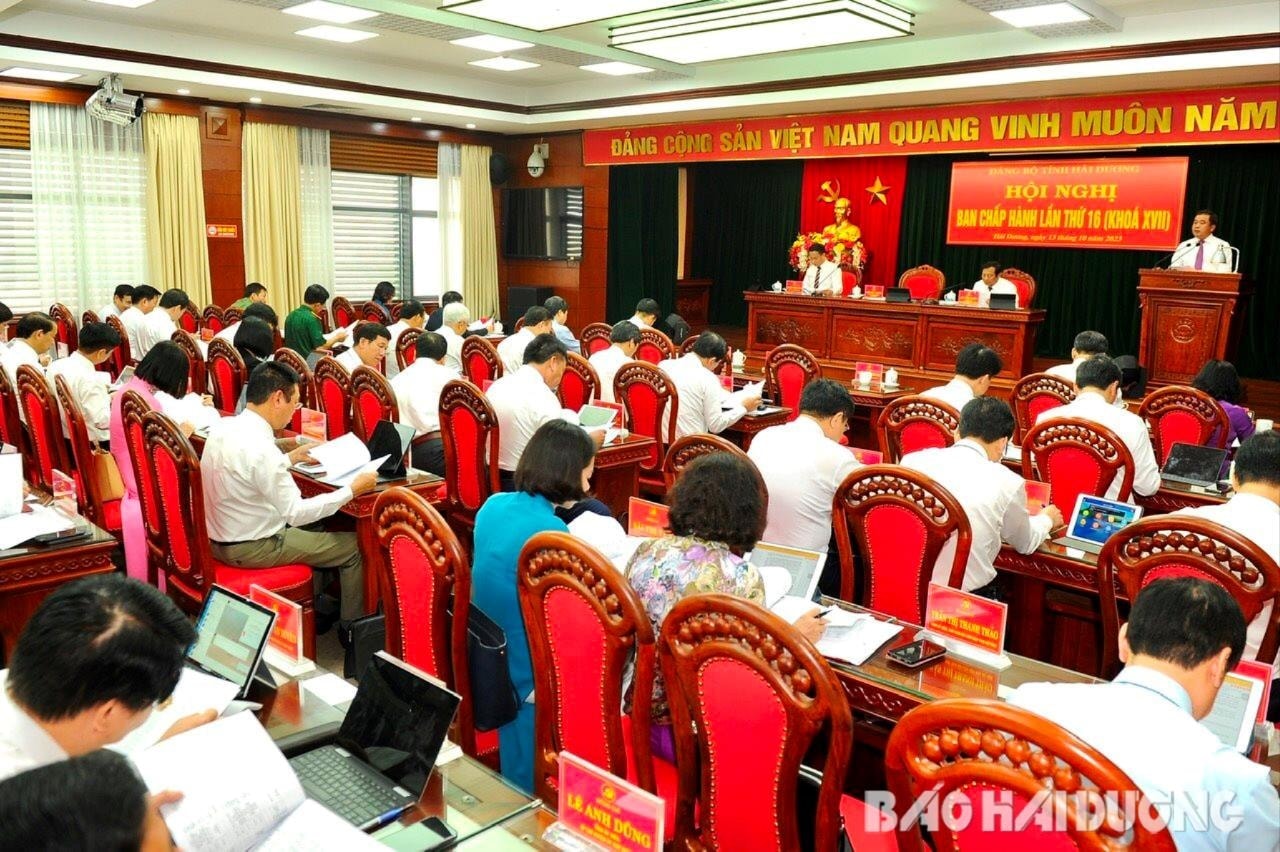 Review and supplement the planning of positions of members of the Party Executive Committee of Hai Duong province