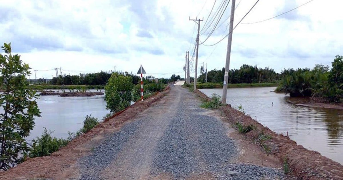 5 entrepreneurs du projet d'infrastructure d'aquaculture à Tra Vinh ont été révoqués, déduisant plus de 4,2 milliards de VND