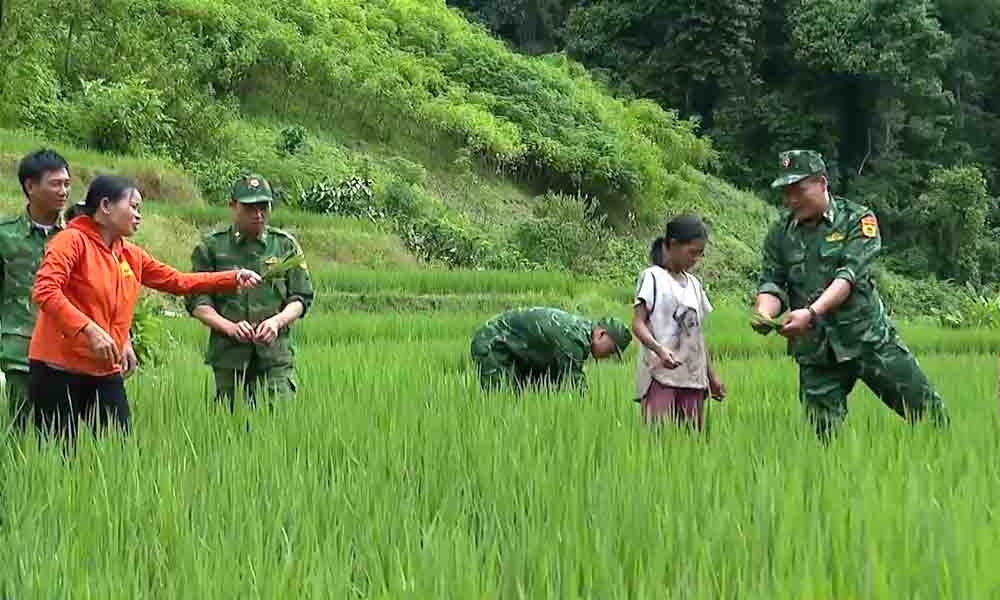bien cuong vang vong loi the hinh anh 5