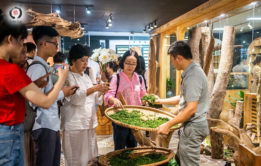 truc-lam-quan-di.jpg