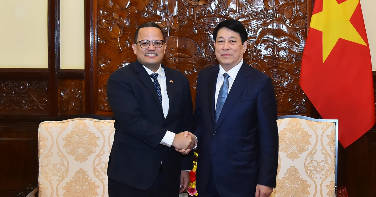 [Foto] El Presidente Luong Cuong recibe al Embajador de la República Dominicana Jaime Francisco Rodríguez