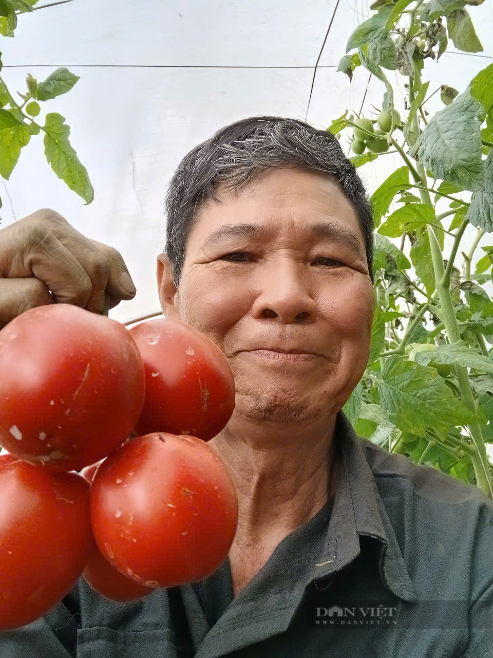 Tỷ phú cà chua Israel  trên đất Sa Pa - Ảnh 7.