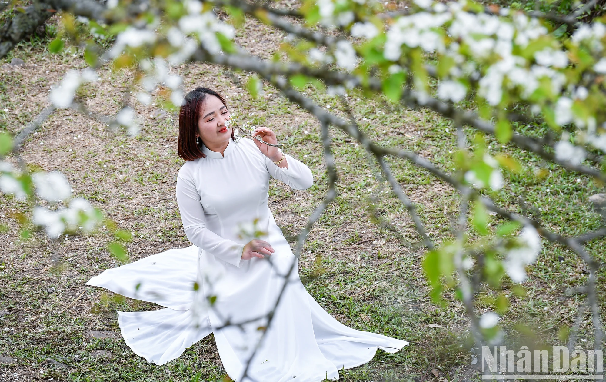 [Foto] Perdido en el jardín de flores de pera de cuento de hadas en Na Hang, Tuyen Quang foto 9