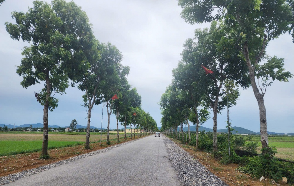 Preocupación por los recursos humanos para la nueva construcción rural