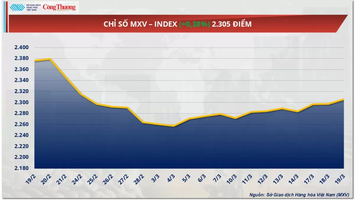 Giá cà phê Robusta tăng lên mức 5.527 USD/tấn