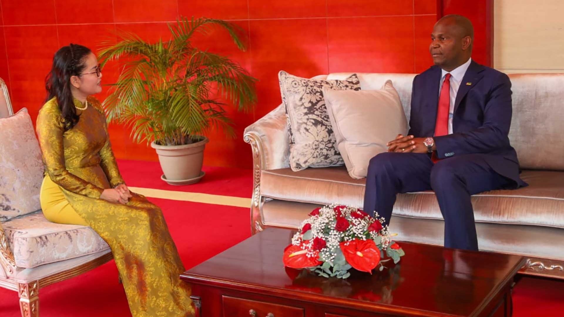 Ambassador Tran Thi Thu Thin presents her credentials to the President of Mozambique