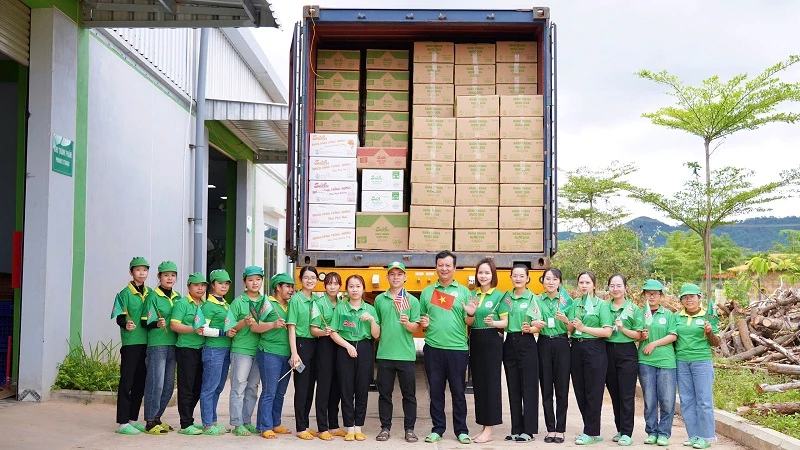 Nguyên container bánh tráng Sachi xuất khẩu chính ngạch sang Hoa Kỳ.