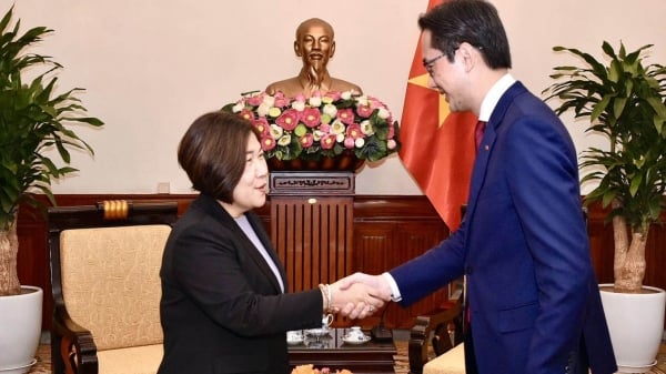 Deputy Minister Do Hung Viet received the Executive Director of the Mekong River Commission