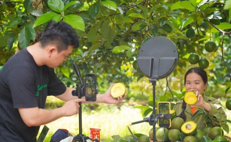 Transformación digital: Apalancamiento para incrementar el valor de los productos agrícolas de OCOP