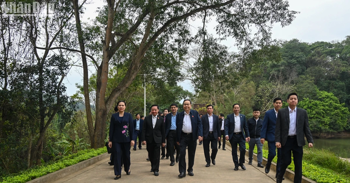 [Photo] Le président de l'Assemblée nationale, Tran Thanh Man, visite le site national spécial de Tan Trao