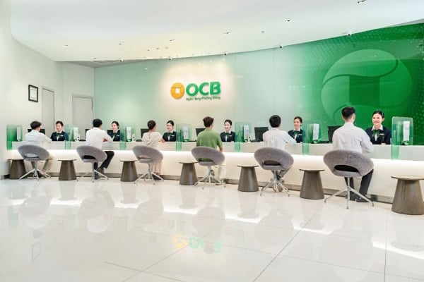 OCB gibt geprüften Finanzbericht 2024 bekannt