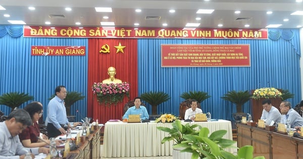 An Giang, Dong Thap and Ca Mau provinces affirm their determination to achieve growth of 8% or more.