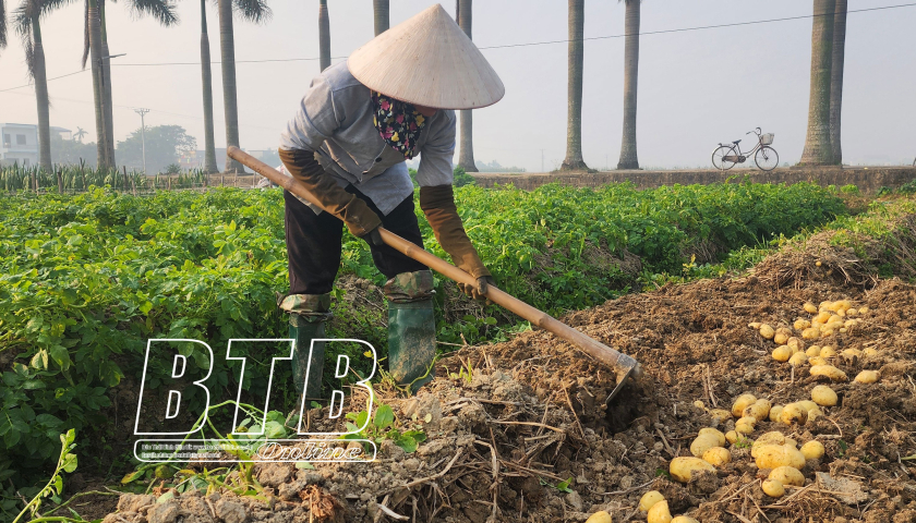 Spring crop planting reached nearly 98% of the plan