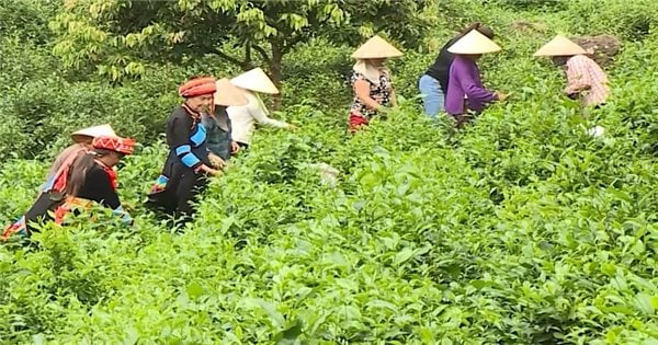 Ba Be (Bac Kan): Beschleunigung der Auszahlung nationaler Zielprogramme