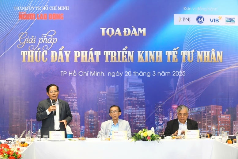 Các chuyên gia hiến kế giải pháp thúc đẩy phát triển kinh tế tư nhân- Ảnh 1.