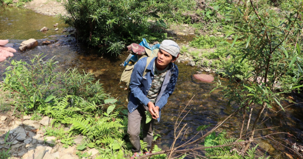 ダナンの名物は魚介類だけではなく、山菜や貝類も美味しいです。一度食べたら二度食べたくなります。肉や魚よりも美味しいです。