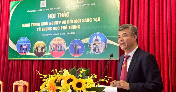 Tin tức