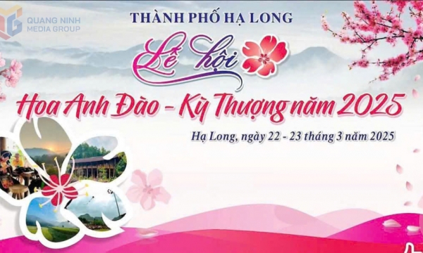 Ha Long City: The 2025 Ky Thuong Cherry Blossom Festival will take place on March 22-23, 2025