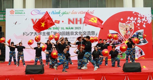 Highlights of the 10th Vietnam - Japan cultural exchange program