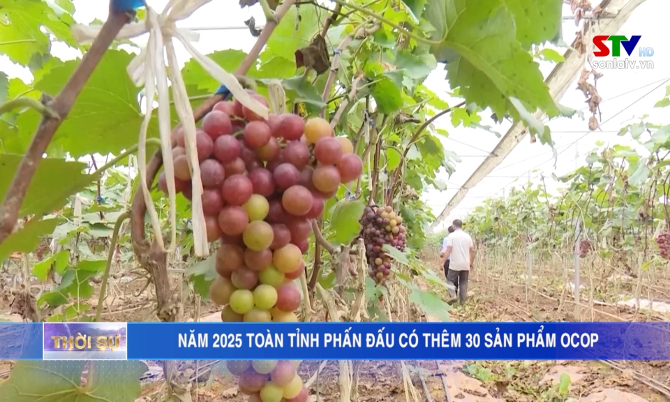 នៅឆ្នាំ២០២៥ ខេត្តទាំងមូលខិតខំឱ្យមានផលិតផល OCOP ចំនួន៣០បន្ថែមទៀត។