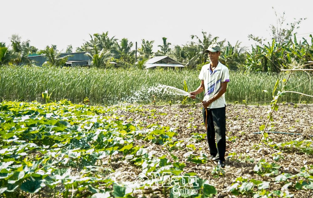 Die Bauern in der Gemeinde Khanh An betreiben aktiven Landbau, um ihr Leben zu verbessern.