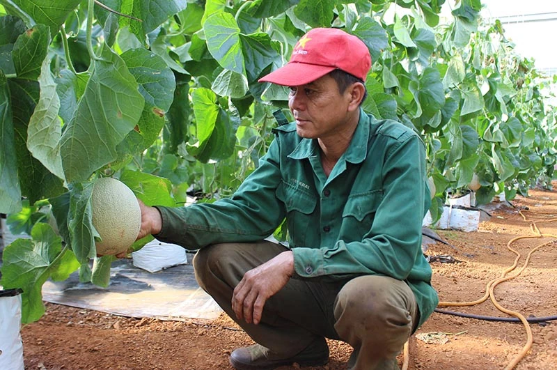 Gia Lai thành lập Ban Chỉ đạo tỉnh về phát triển khoa học, công nghệ, đổi mới sáng tạo và chuyển đổi số