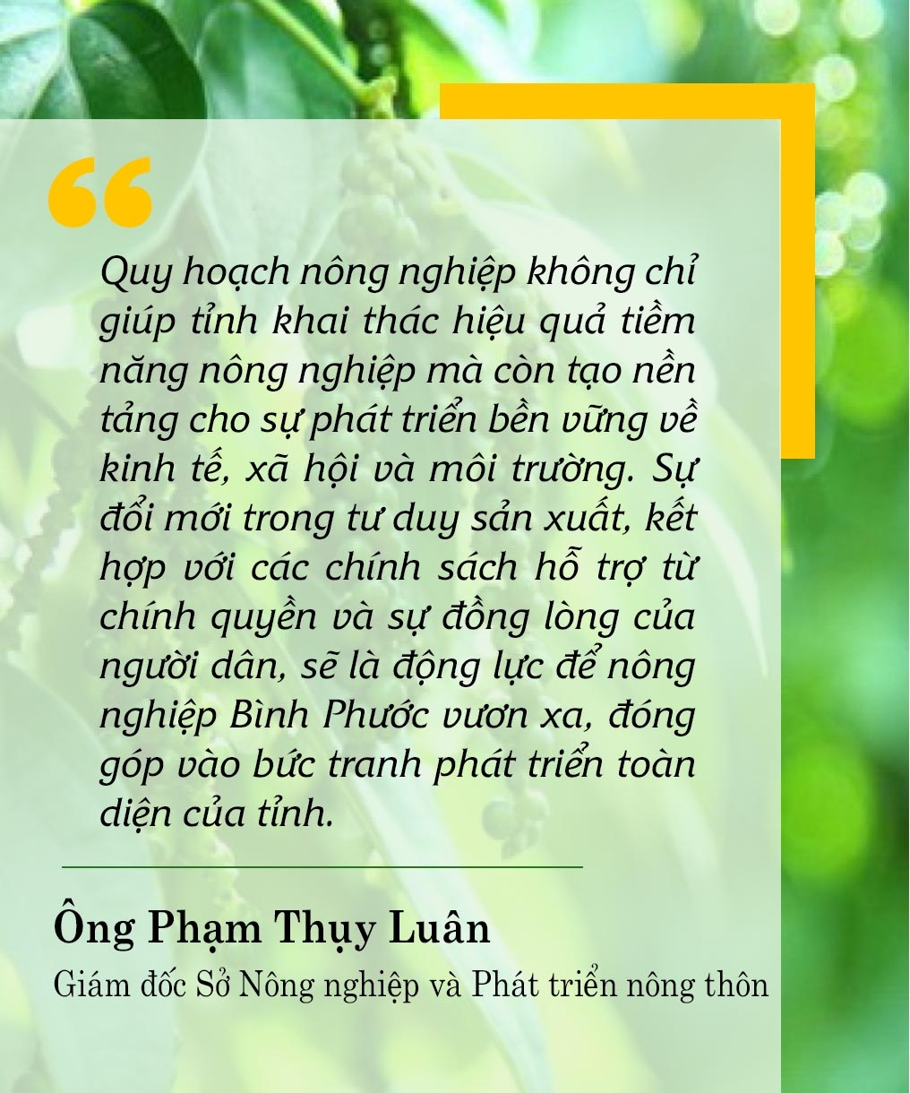 Acheter une maison avant 30 ans à Ho Chi Minh Ville, Hanoi, est-ce un rêve lointain ? image 4