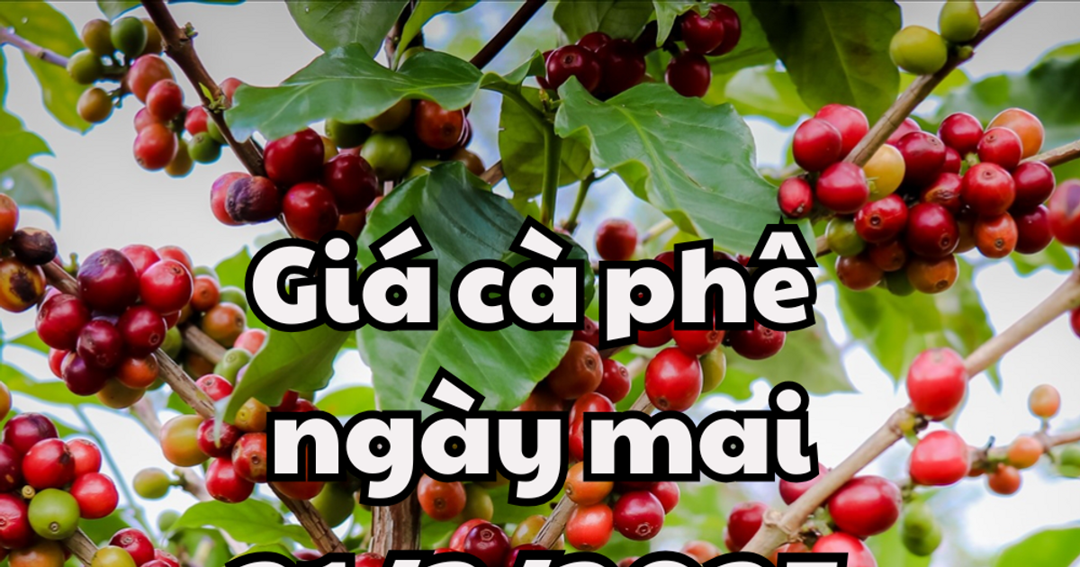 ព័ត៍មាន, ព្យាករណ៍តម្លៃកាហ្វេថ្ងៃស្អែក 3/21/2025 នឹងបន្តកើនឡើងបន្តិច