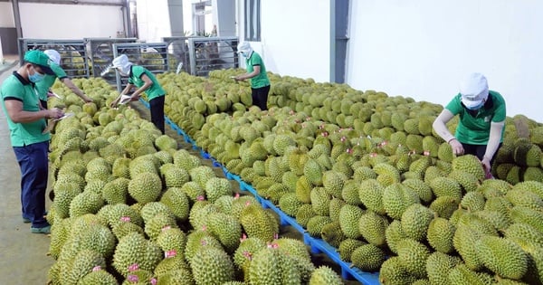 Vietnam gehört zu den TOP 30 Ländern mit dem höchsten Handelswachstum.