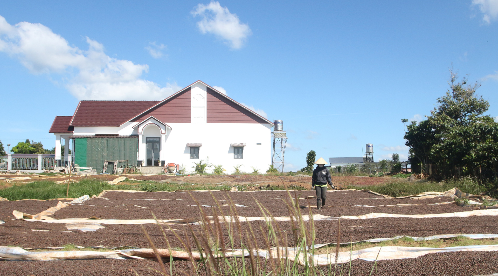 Gracias al éxito de los cultivos de café, muchas personas de la comuna construyeron casas y compraron automóviles.