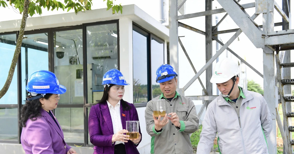 The National Assembly Delegation of Tuyen Quang Province supervises the implementation of policies and laws on environmental protection.