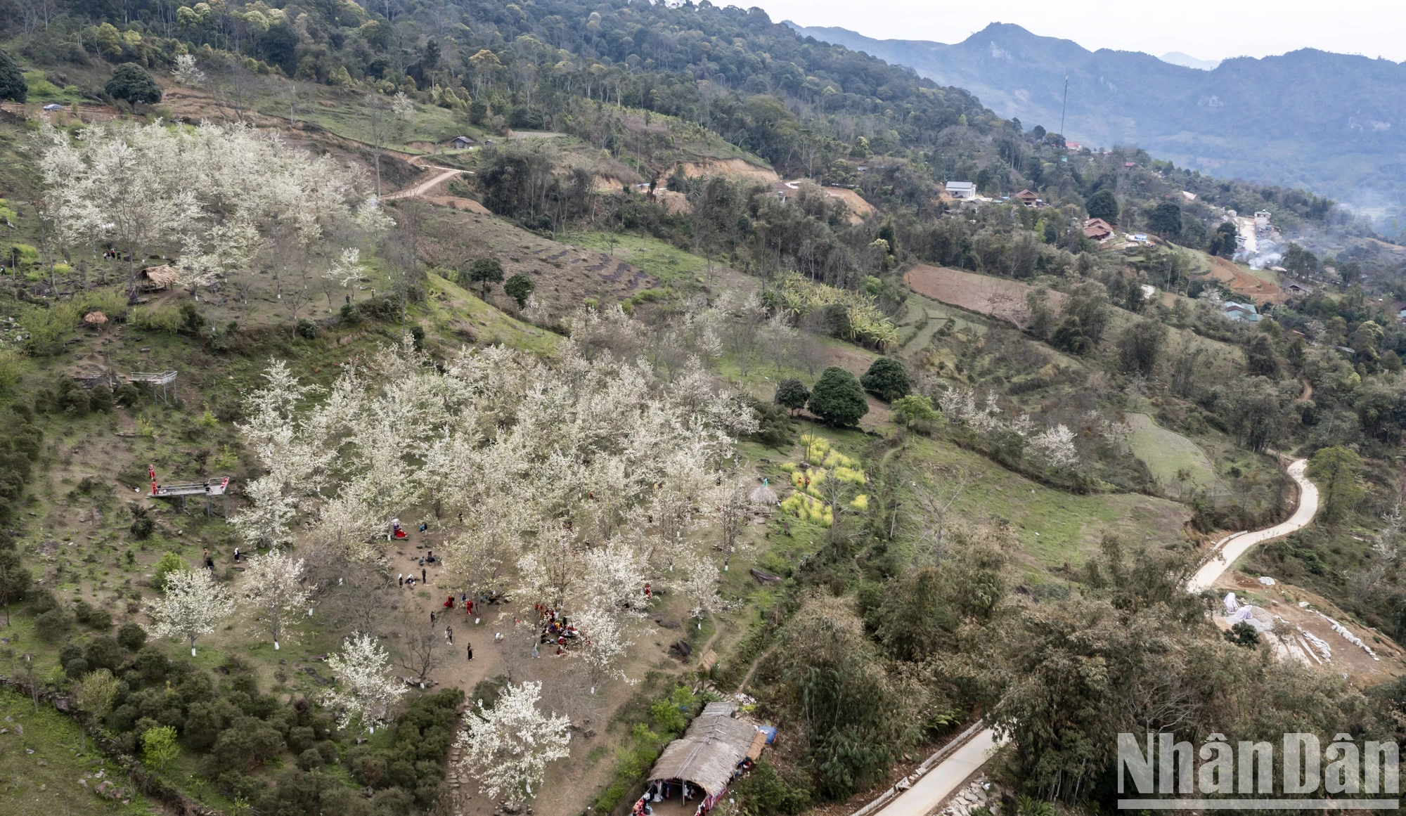 [Foto] Perdido en el jardín de flores de pera de cuento de hadas en Na Hang, Tuyen Quang foto 15