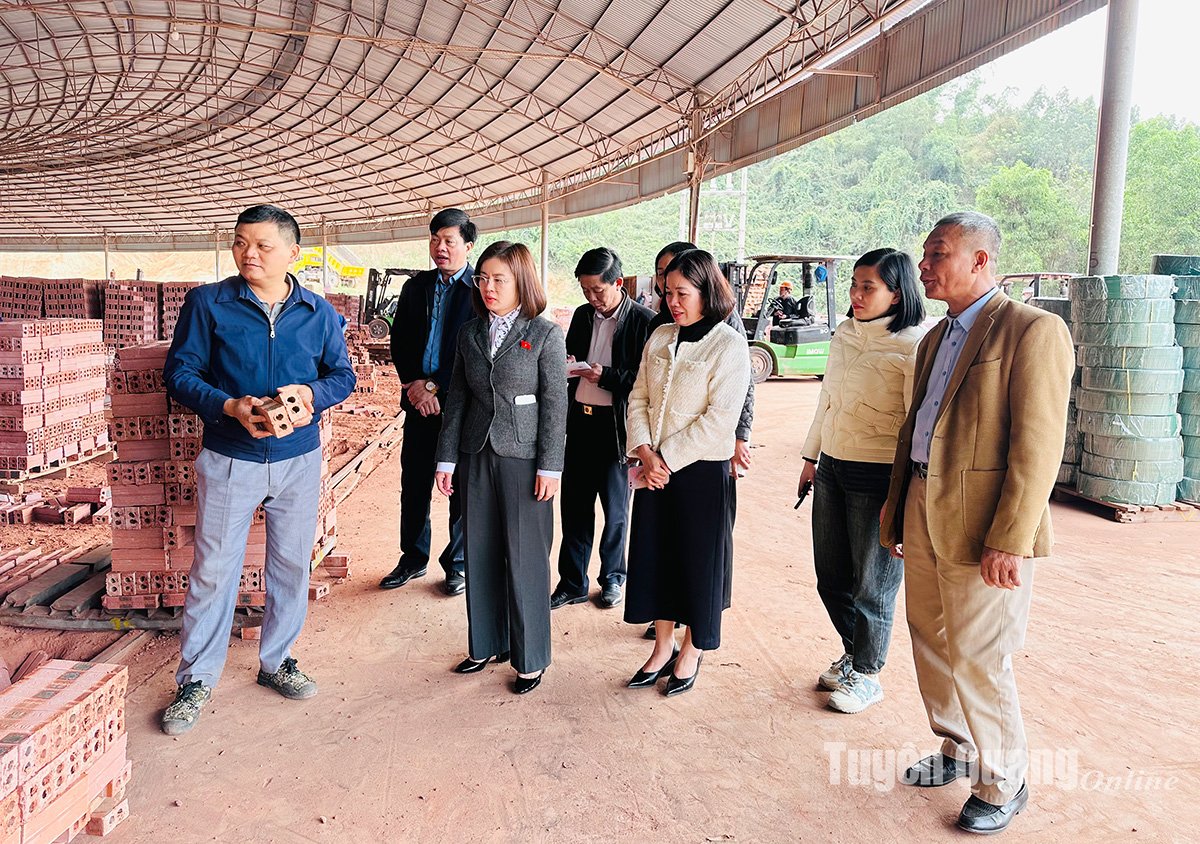 Une délégation de l'Assemblée nationale provinciale supervise la commune de Trang Da