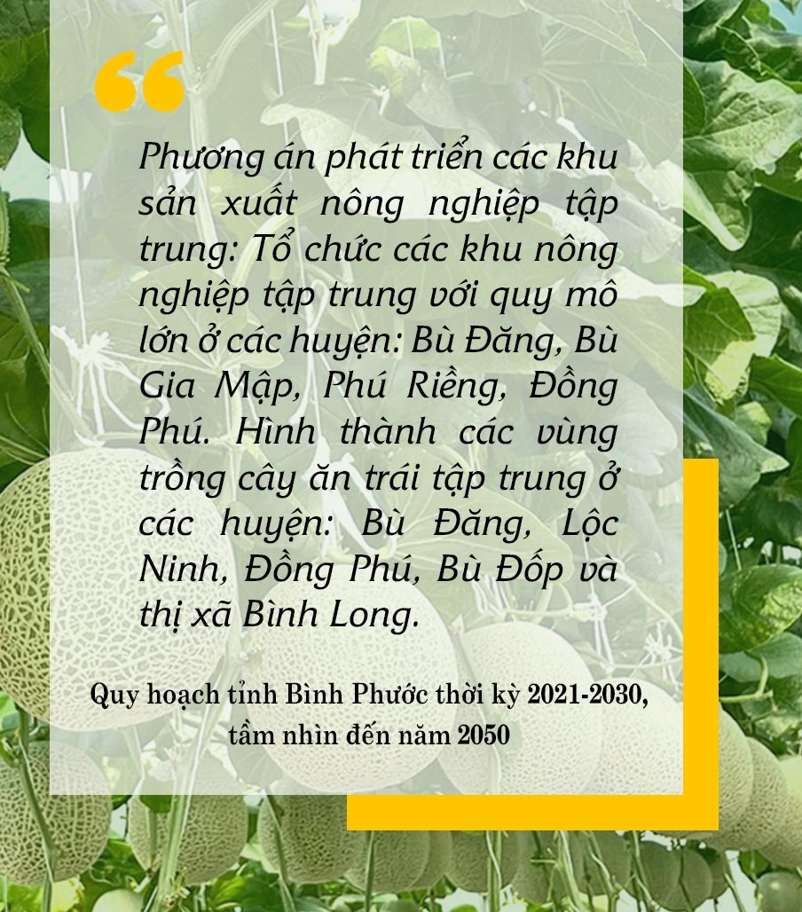 ទិញផ្ទះមុនអាយុ 30 ឆ្នាំនៅទីក្រុងហូជីមិញ ហាណូយ តើវាជាសុបិនឆ្ងាយមែនទេ? រូបភាព 6