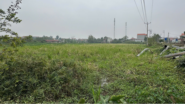 Entrega de 6.078,9 m2 de terreno al distrito de Dan Phuong para construir infraestructura técnica para el área de subasta de tierras