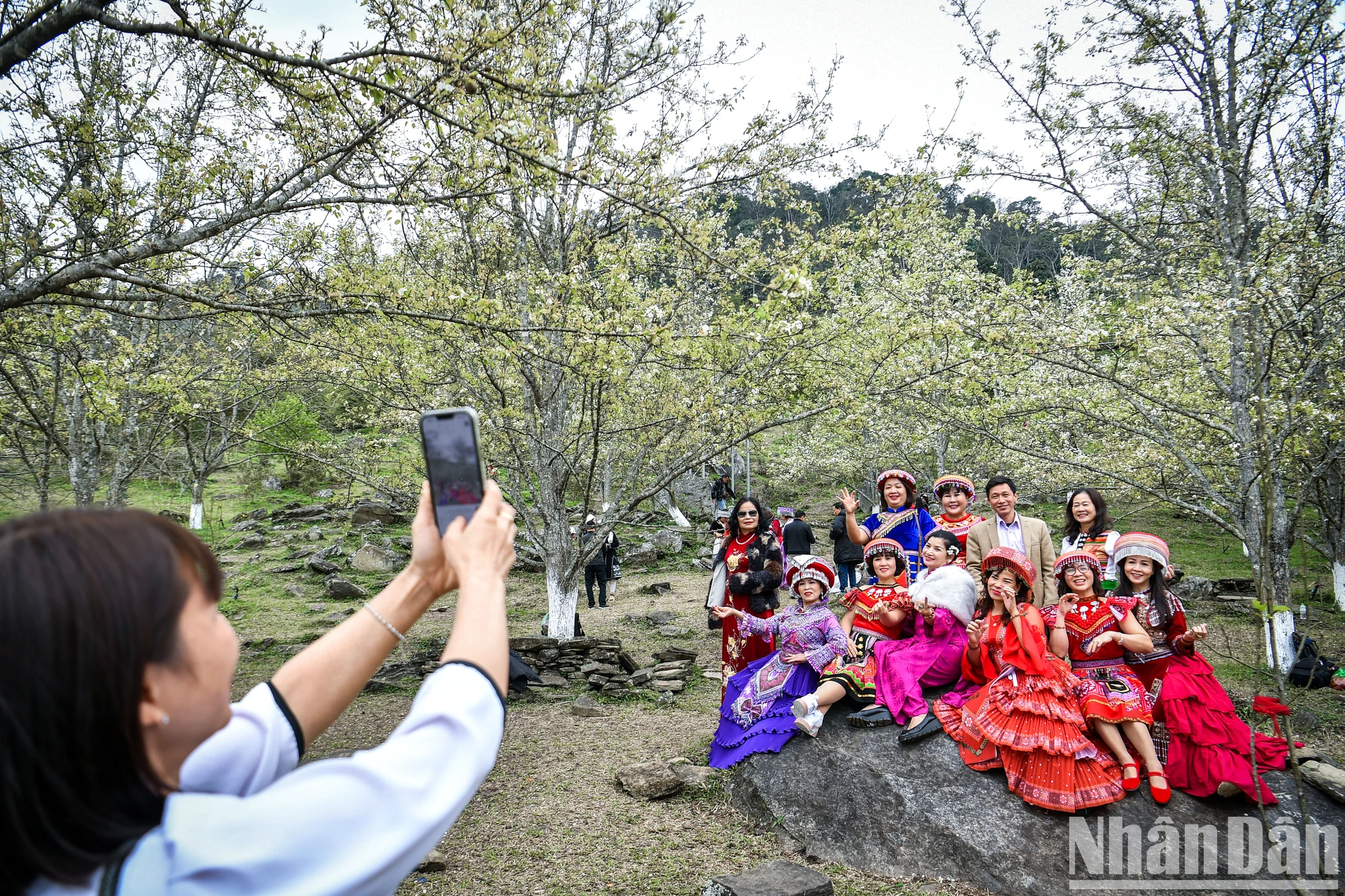 [Foto] Perdido en el jardín de flores de pera de cuento de hadas en Na Hang, Tuyen Quang foto 7