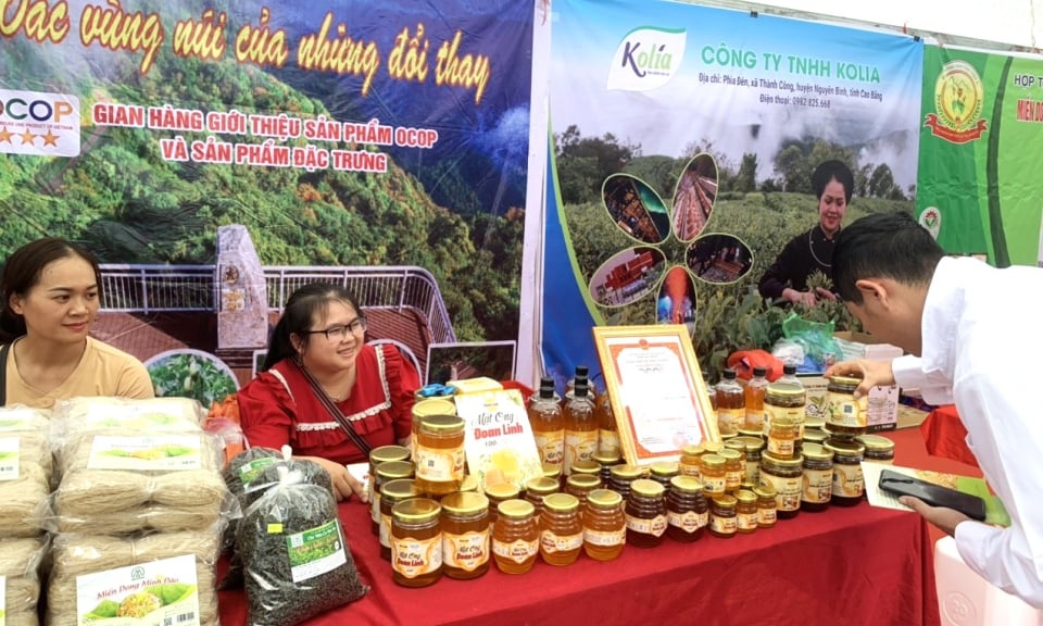 Vietnam National Brand Week - honoring Vietnamese products