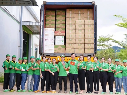 La empresa de ciencia y tecnología Binh Dinh exporta por primera vez un contenedor completo de papel de arroz a Estados Unidos.