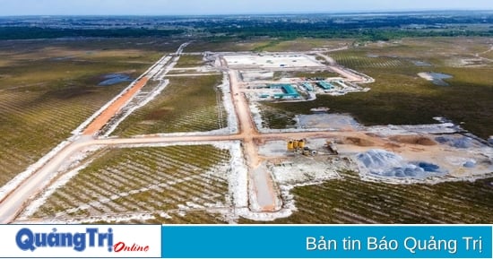 Conversion de plus de 9 hectares de forêt pour construire une route reliant l'aéroport de Quang Tri à la route nationale 1