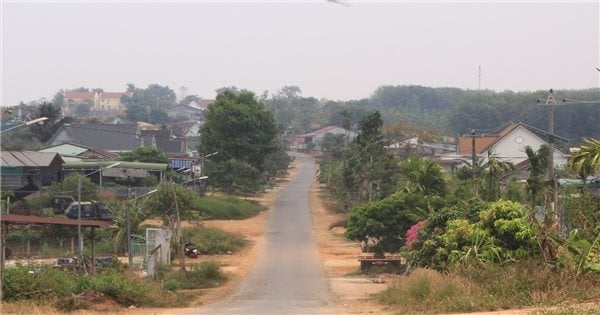 ប្រសិទ្ធភាពនៃកម្មវិធីគោលដៅជាតិ ១៧១៩ នៅ Dak Nong