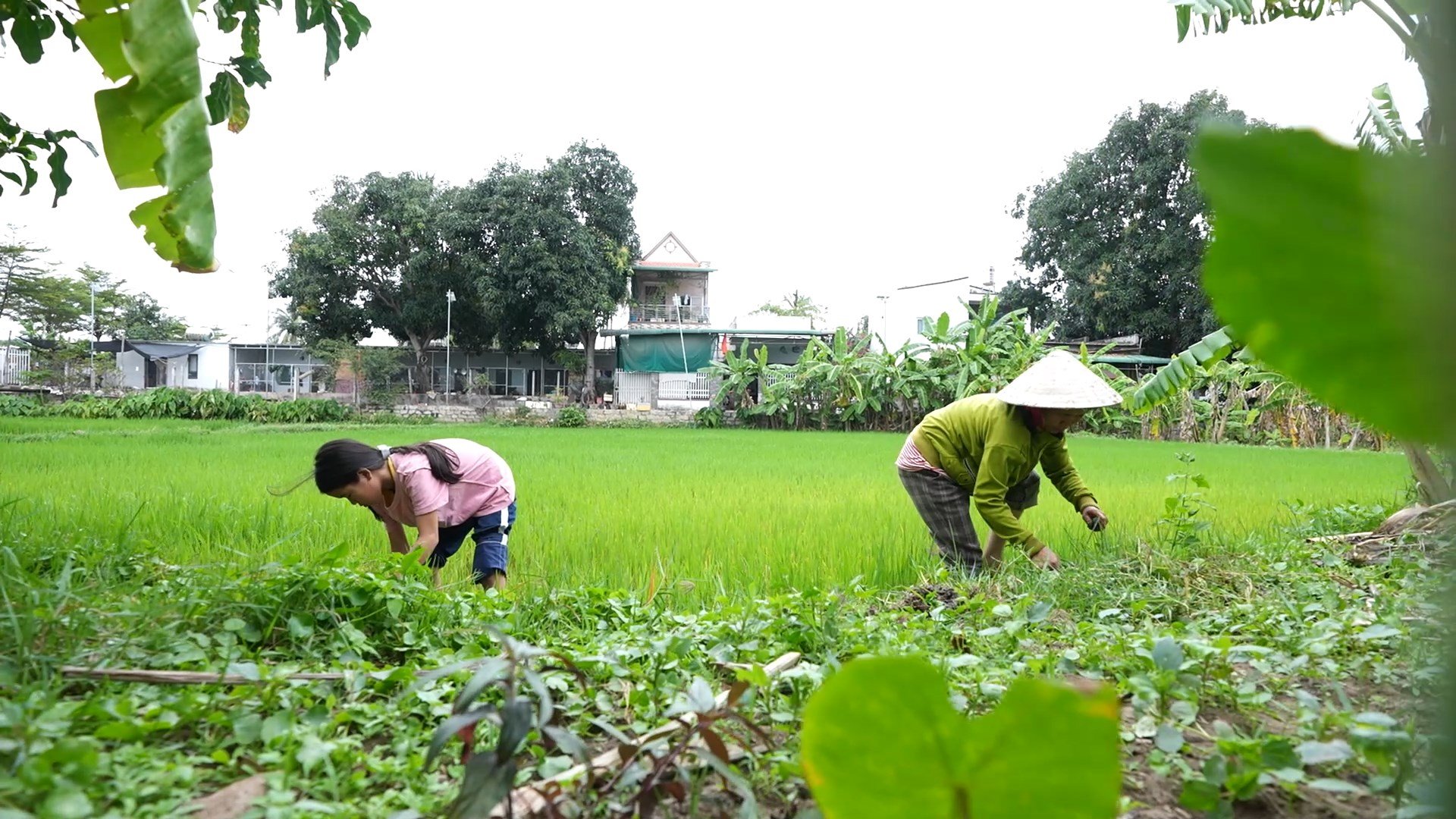 Thanh Trúc thương mẹ vất vả, tranh thủ sau giờ học em phụ giúp mẹ.