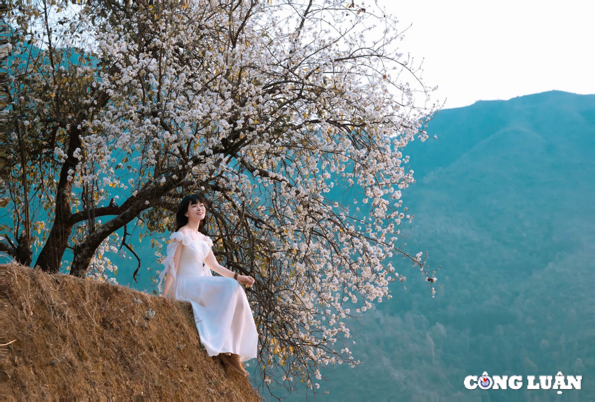 실버 겨드랑이 중앙에 있는 하얀 립스틱 꽃 사진 2