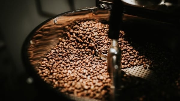 Los precios del café suben en general, la producción no es la esperada; ¿Cambios notables en el mercado en 2025?