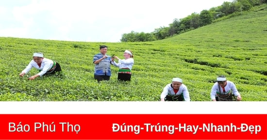 Phát triển hợp tác xã vùng dân tộc thiểu số