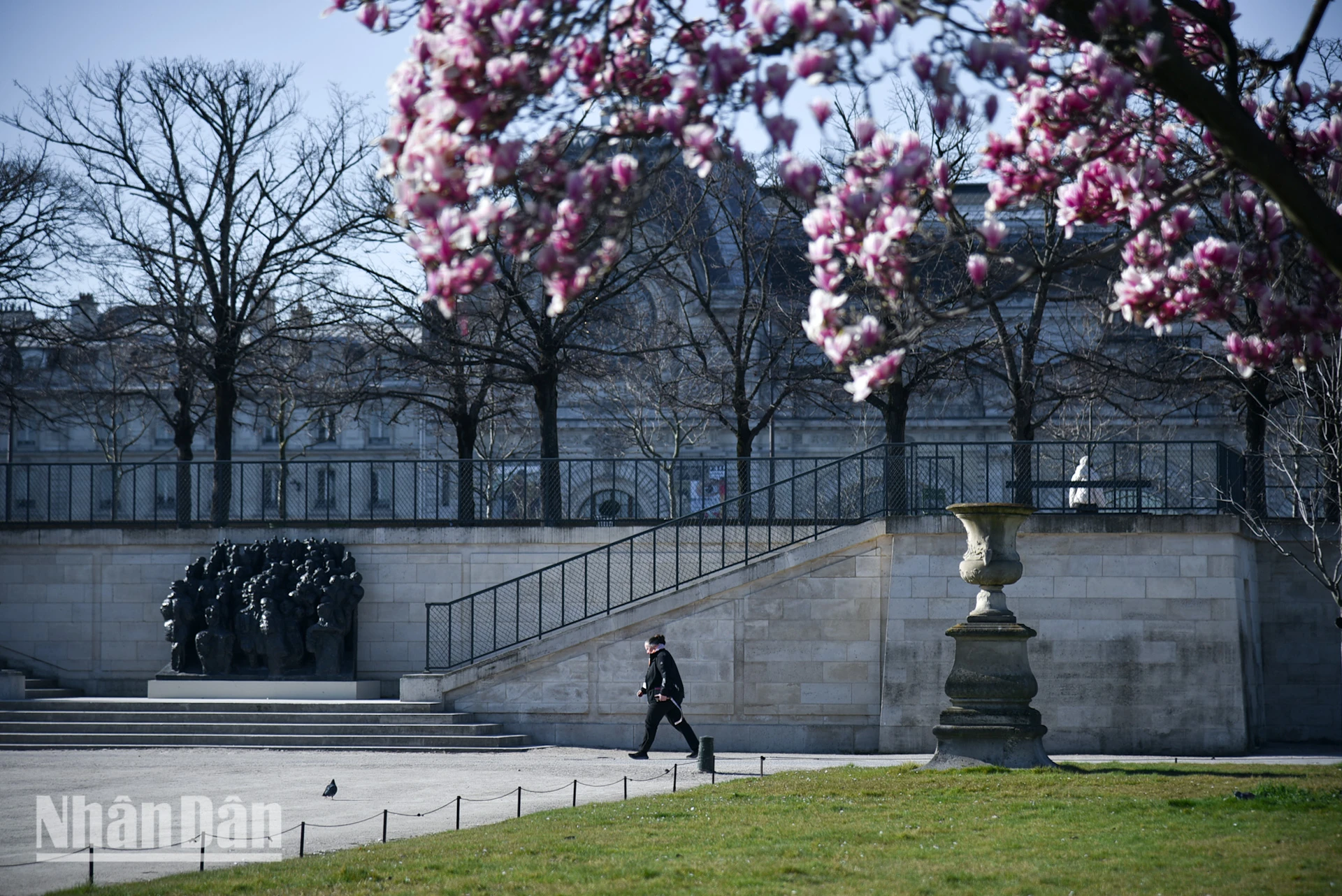 [Ảnh] Paris “mê hoặc” mùa hoa khoe sắc ảnh 10