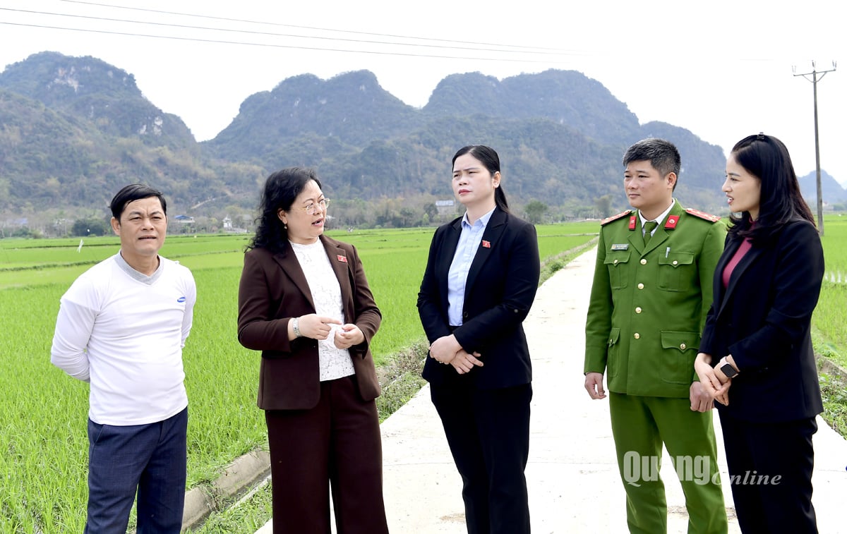 The provincial National Assembly delegation supervises at Phuc Ung commune, DABACO Company Limited (Son Duong)