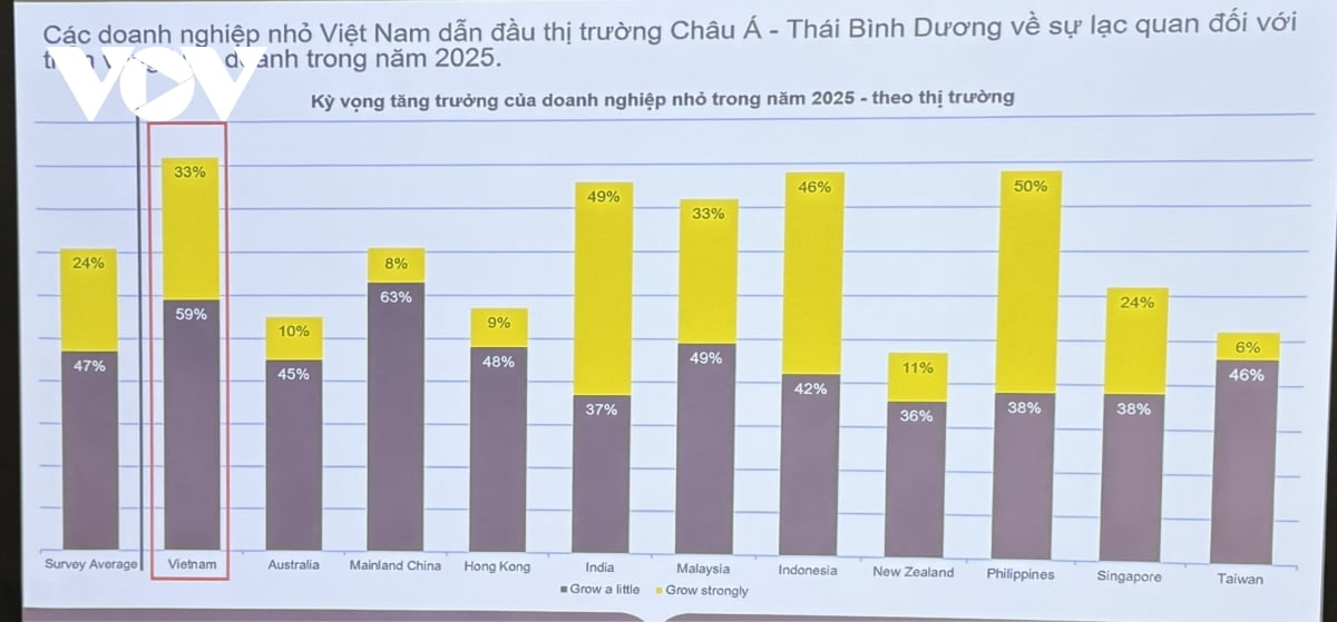 nhieu tin hieu tich cuc ve doanh nghiep nho viet nam trong khao sat cua cpa australia hinh anh 2