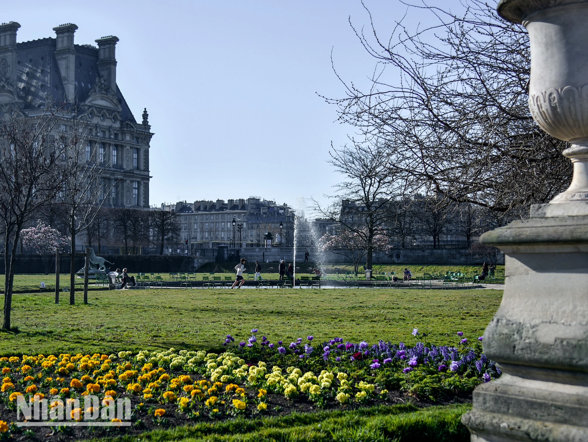 [Foto] Paris „verzaubert“ von der blühenden Blumensaison Foto 1