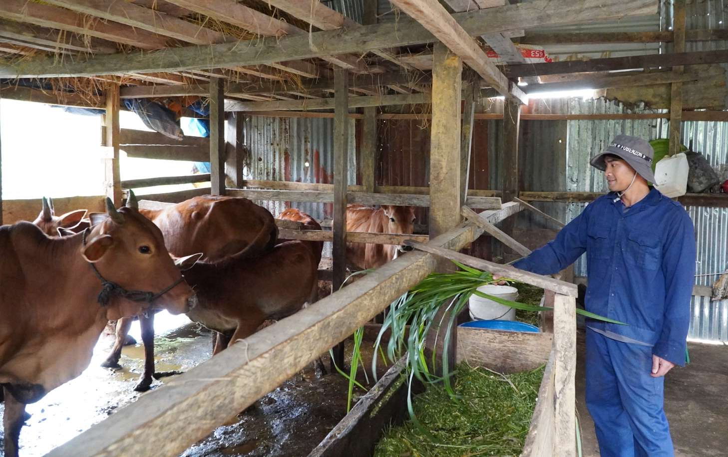 Một huyện du lịch nổi tiếng ở Kon Tum có nhiều thôn, làng đạt chuẩn nông thôn mới, nhà cửa khang trang, sạch đẹp - Ảnh 4.