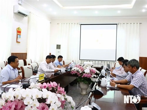 El Comité Popular Provincial celebró una reunión para escuchar un informe sobre la limpieza del sitio para la planta de energía nuclear de Ninh Thuan.